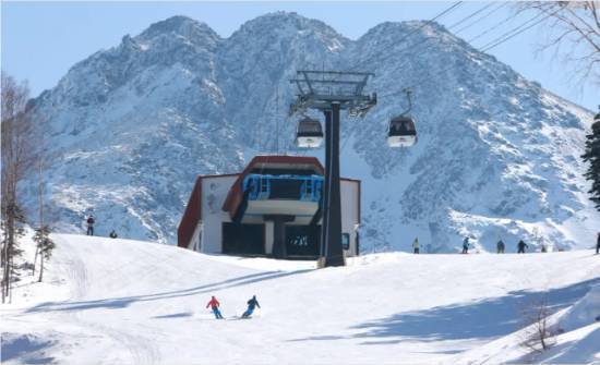 ワンダーランドかたしなレビューキャンペーン