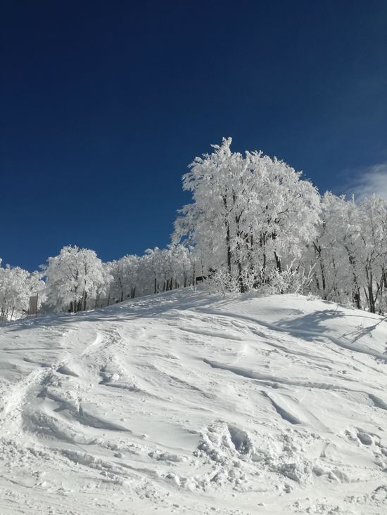 雪が降った朝は行くべきゲレンデ|六日町八海山スキー場のクチコミ画像