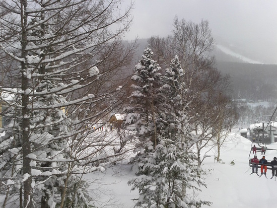 降雪時ゴーグル必須！|志賀高原 焼額山スキー場のクチコミ画像