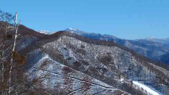 ワンダーランドかたしなレビューキャンペーン|のクチコミ画像