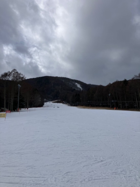 大雪予報だけど
