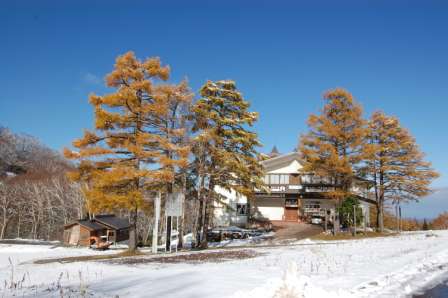 11/4の野沢|野沢温泉スキー場のクチコミ画像2