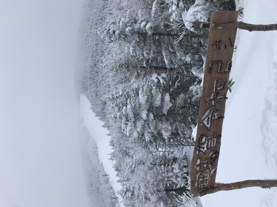 いい雪でした。|志賀高原 焼額山スキー場のクチコミ画像