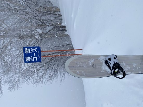 深雪コース|のクチコミ画像