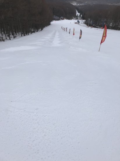 全面滑走可能|ブランシュたかやまスキーリゾートのクチコミ画像
