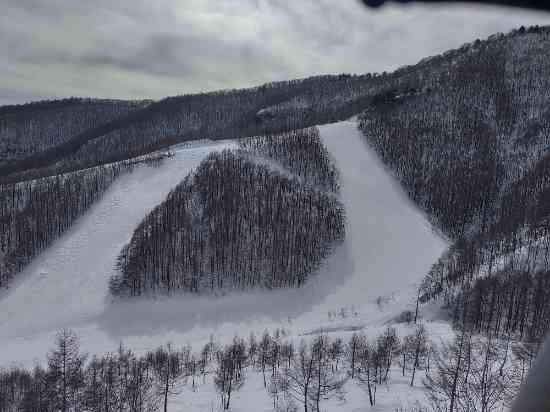 ワンダーランドかたしなレビューキャンペーン