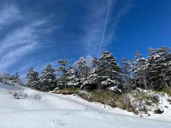 流石御嶽って感じですね。ほかのスキー場・・・|御嶽スキー場（旧 Ontake2240）のクチコミ画像2