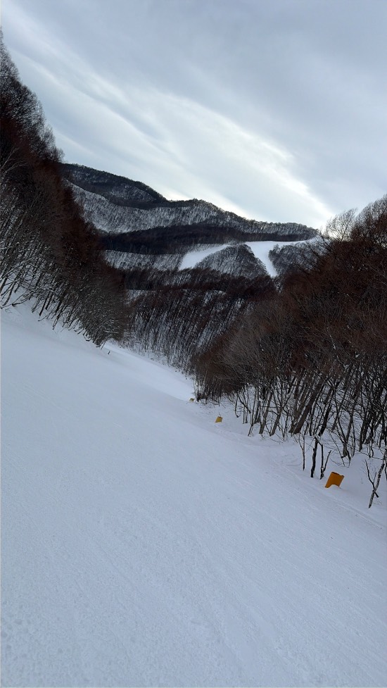 ワンダーランドかたしなレビューキャンペーン|ホワイトワールド尾瀬岩鞍のクチコミ画像