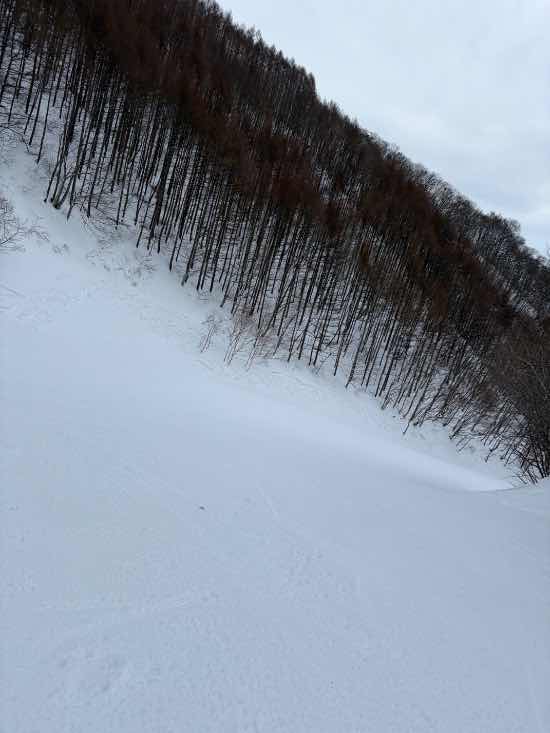 ワンダーランドかたしなレビューキャンペーン|ホワイトワールド尾瀬岩鞍のクチコミ画像2