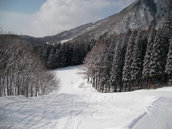 相変わらずボーダーとモーグラーのレベル高し|White Resort 白馬さのさかのクチコミ画像