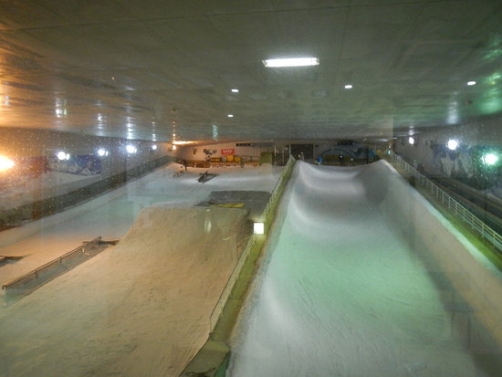 なんといってもハーフパイプ|のクチコミ画像