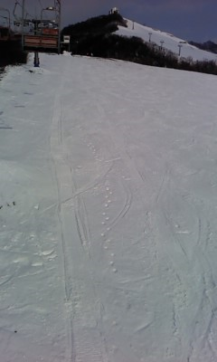雪不足は深刻でした|岩原スキー場のクチコミ画像