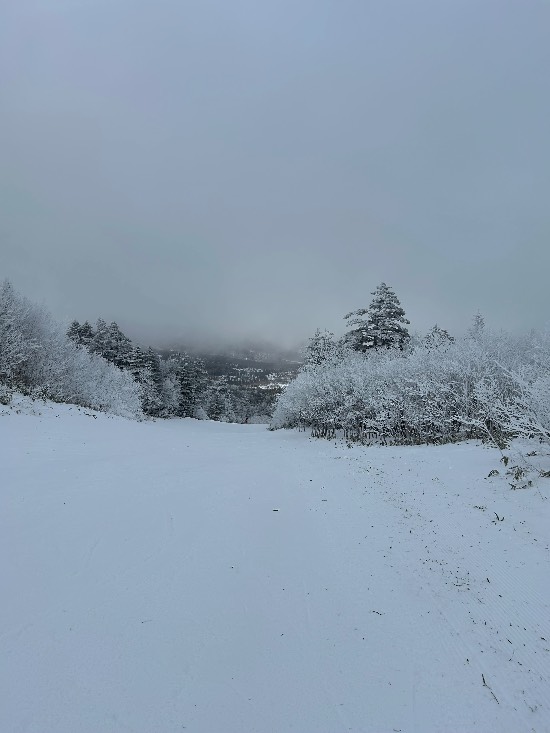 パルコール嬬恋リゾートのフォトギャラリー1