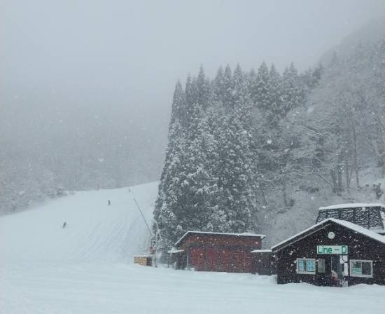 ルイスも1月8日までお休み