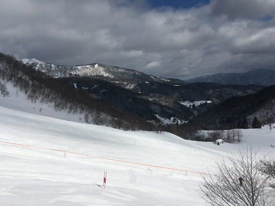 コース幅が広いです！|氷ノ山国際スキー場のクチコミ画像