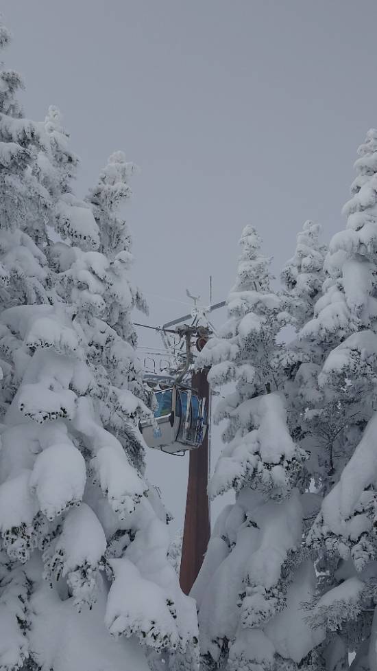 2025　信州ツアー＜第1章　4日目　志賀高原焼額山スキー場＞|志賀高原 焼額山スキー場のクチコミ画像