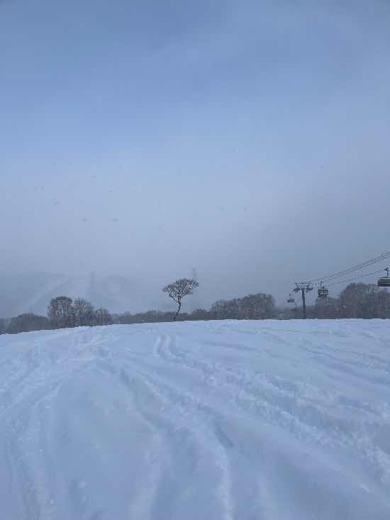超ドカ雪パウダー|かぐらスキー場のクチコミ画像