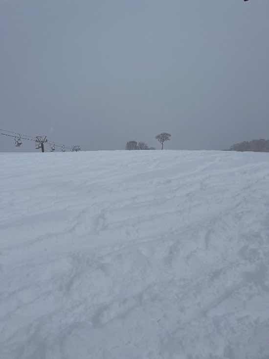 超ドカ雪パウダー|かぐらスキー場のクチコミ画像2