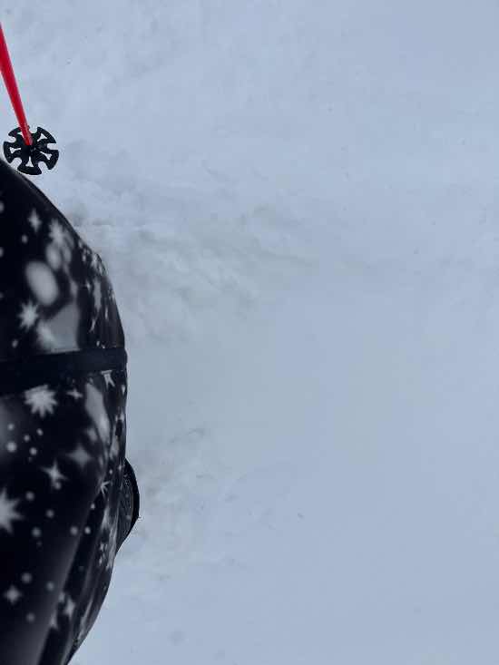 超ドカ雪パウダー|かぐらスキー場のクチコミ画像3