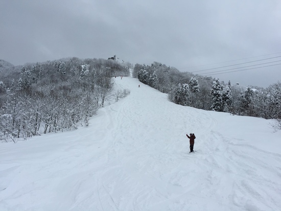 パノラマコースは面白い！|立山山麓スキー場のクチコミ画像