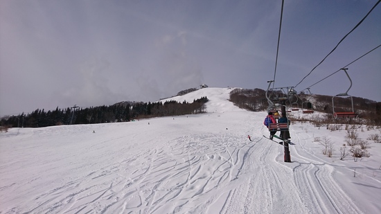 降った後の木に付いた雪は最高にきれい！|岩原スキー場のクチコミ画像