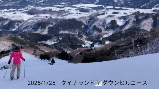 雪質最高|ダイナランドのクチコミ画像