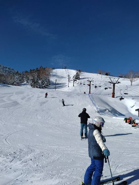 ワンダーランドかたしなレビューキャンペーン