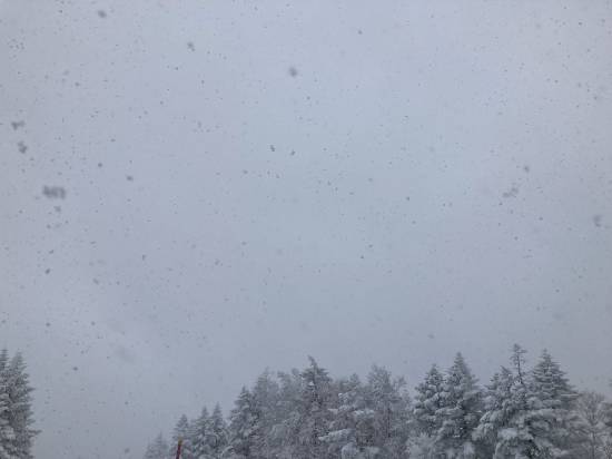 WiFi完備、ありがたい！|志賀高原 焼額山スキー場のクチコミ画像