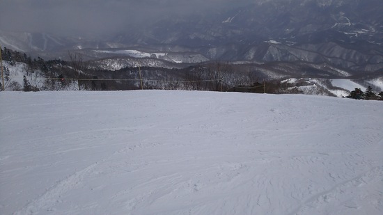 新雪が楽しいですね|オグナほたかスキー場のクチコミ画像