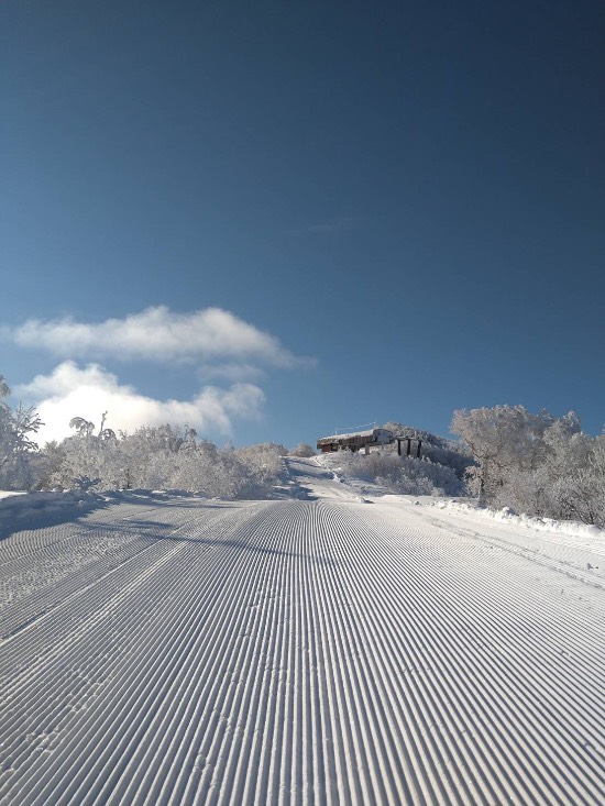 絶景|函館七飯スノーパークのクチコミ画像2