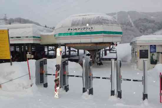 パウパウまつり？