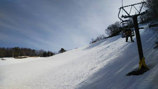 ワンダーランドかたしなレビューキャンペーン