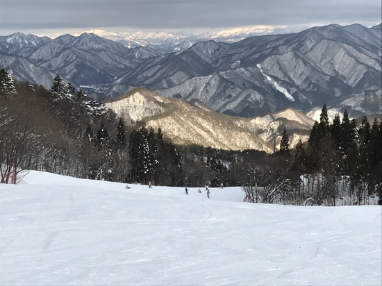 ふかふかの粉雪|ノルンみなかみスキー場のクチコミ画像