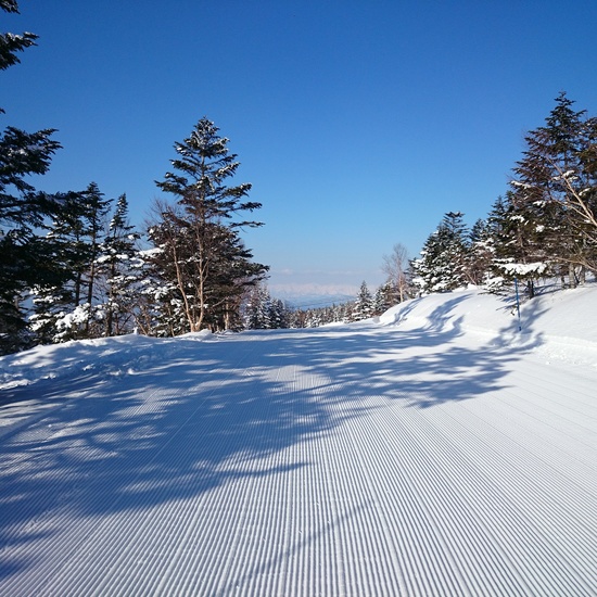 めっちゃ滑りやすい❗|志賀高原 焼額山スキー場のクチコミ画像
