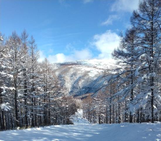 REWILD NINJA SNOW HIGHLANDのフォトギャラリー1