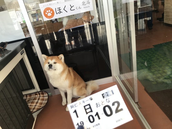 阿仁スキー場のフォトギャラリー6