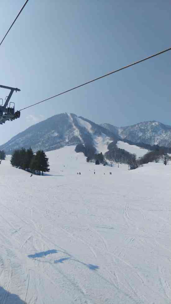 大満足でした‼️