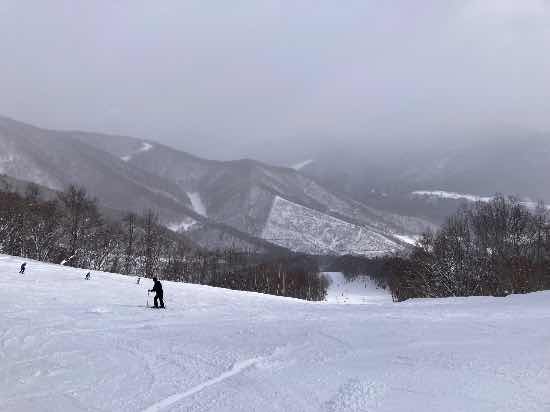 ワンダーランドかたしなレビューキャンペーン