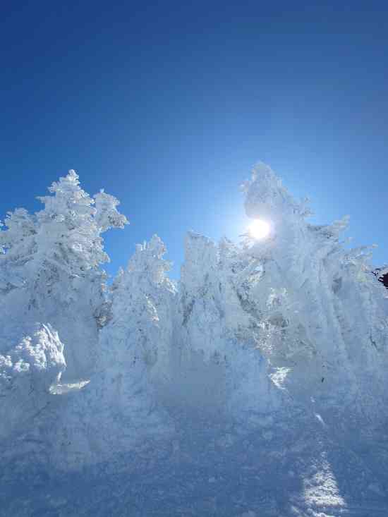 絶景だらけ|横手山・渋峠スキー場のクチコミ画像2