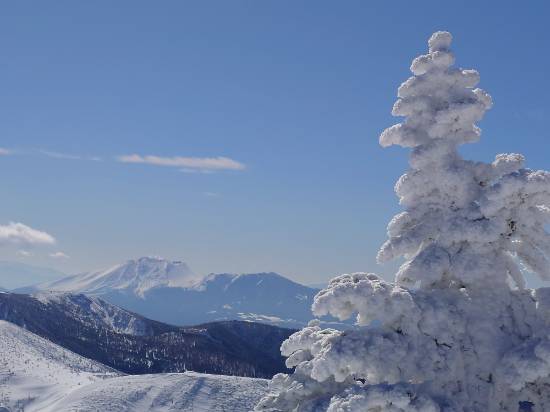 絶景だらけ|横手山・渋峠スキー場のクチコミ画像3