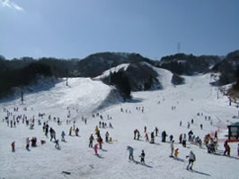 ちょうど良い大きさ|今庄365スキー場のクチコミ画像