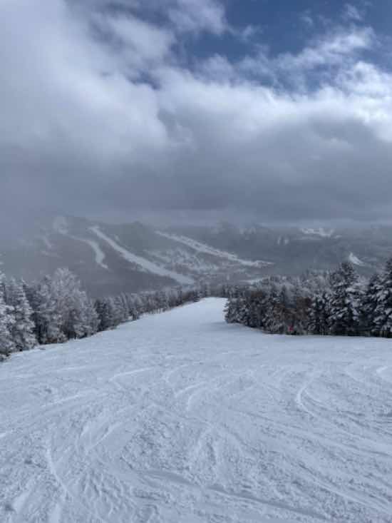 最高のパウダースノーでした|志賀高原 焼額山スキー場のクチコミ画像