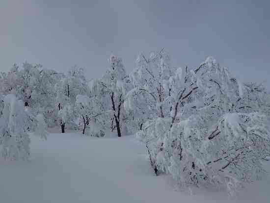 スキージャム勝山のフォトギャラリー1