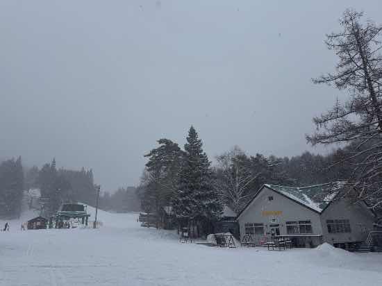 ワンダーランドかたしなレビューキャンペーン