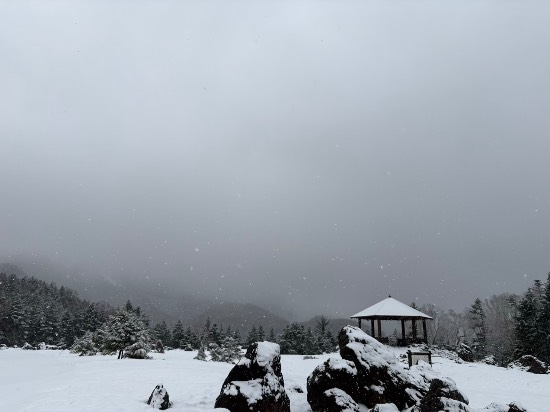 ワンダーランドかたしなレビューキャンペーン