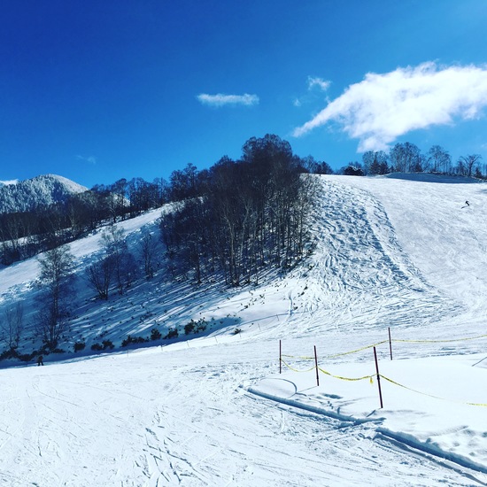 ミニ白馬|飛騨ほおのき平スキー場のクチコミ画像