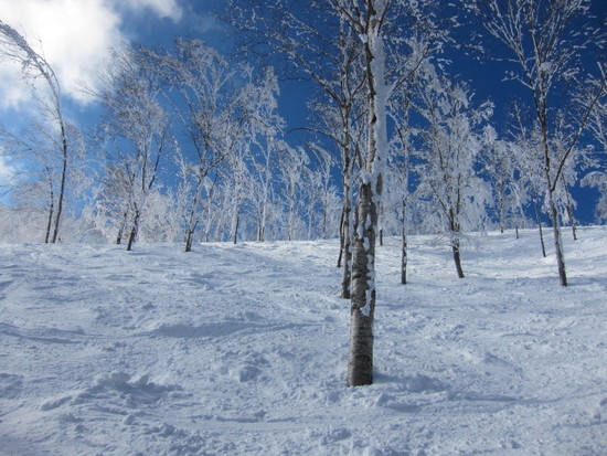 2014/02/23（日）　長野県斑尾の速報|斑尾高原スキー場のクチコミ画像
