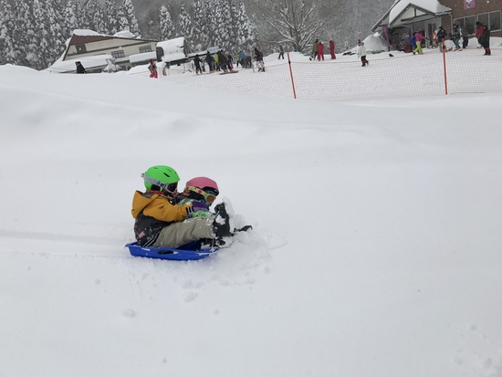 雪、降りすぎでしたが、楽しかったです|おじろスキー場のクチコミ画像
