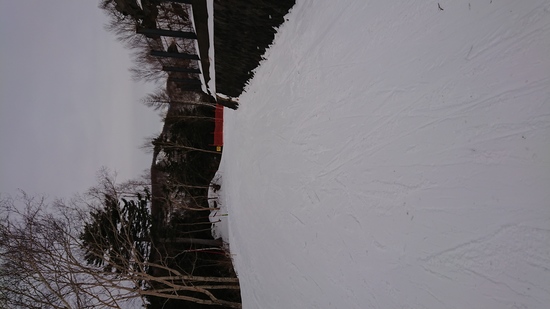 スキーデビュー|草津温泉スキー場のクチコミ画像2