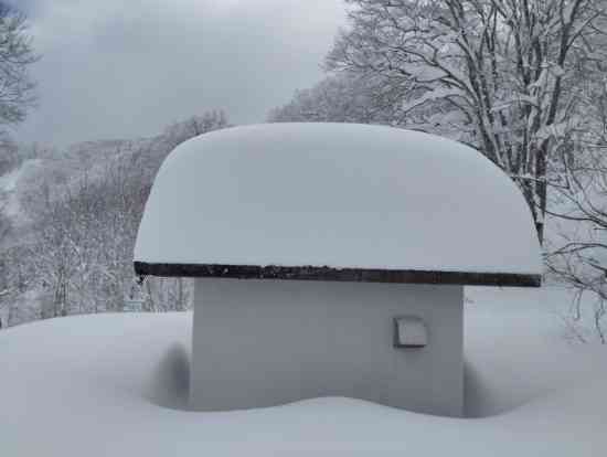 どパウ|野沢温泉スキー場のクチコミ画像